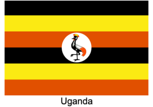 flag2